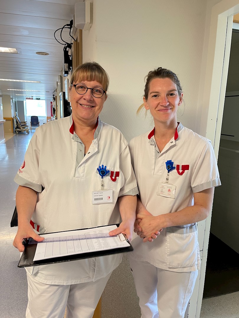 Infirmier·ère pour la Fonction Palliative*